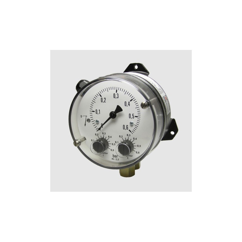 Regulador de Presión Diferencial DS21 |Fischer