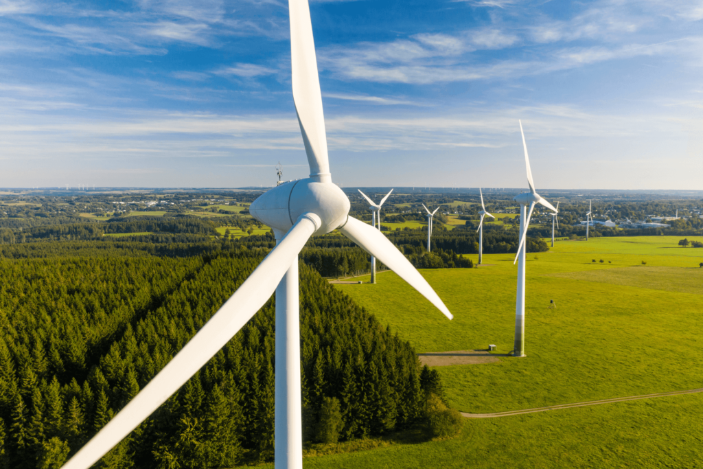 MICRONOR ACCELERATION MEASUREMENTS ON ROTOR BLADES OF WIND TURBINES