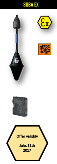 Oferta Julio Soba EX en Inglés